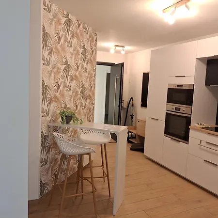 Апартаменты Atelier 23 Шоле